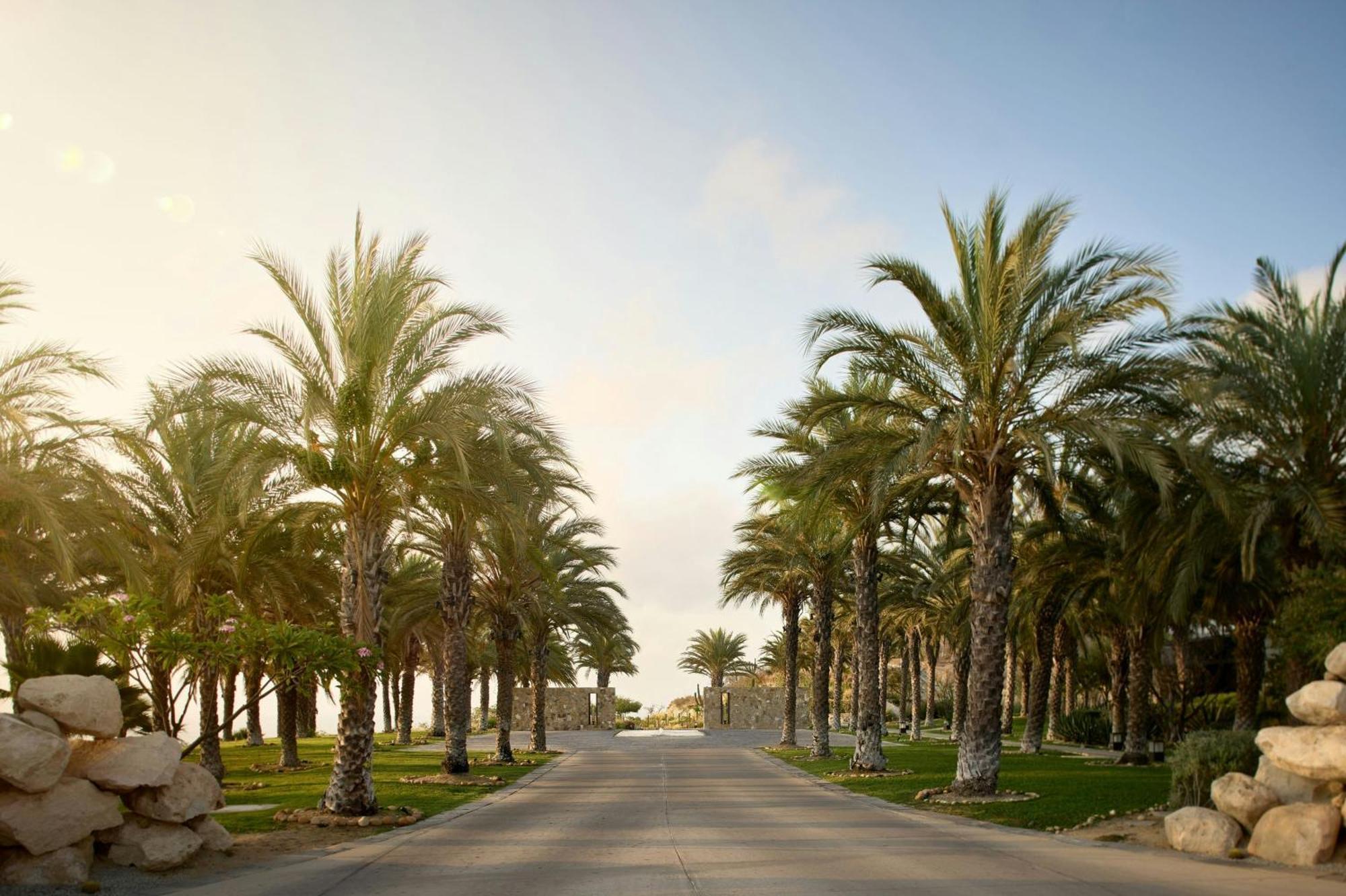 Zadun, A Ritz-Carlton Reserve San José del Cabo Eksteriør billede