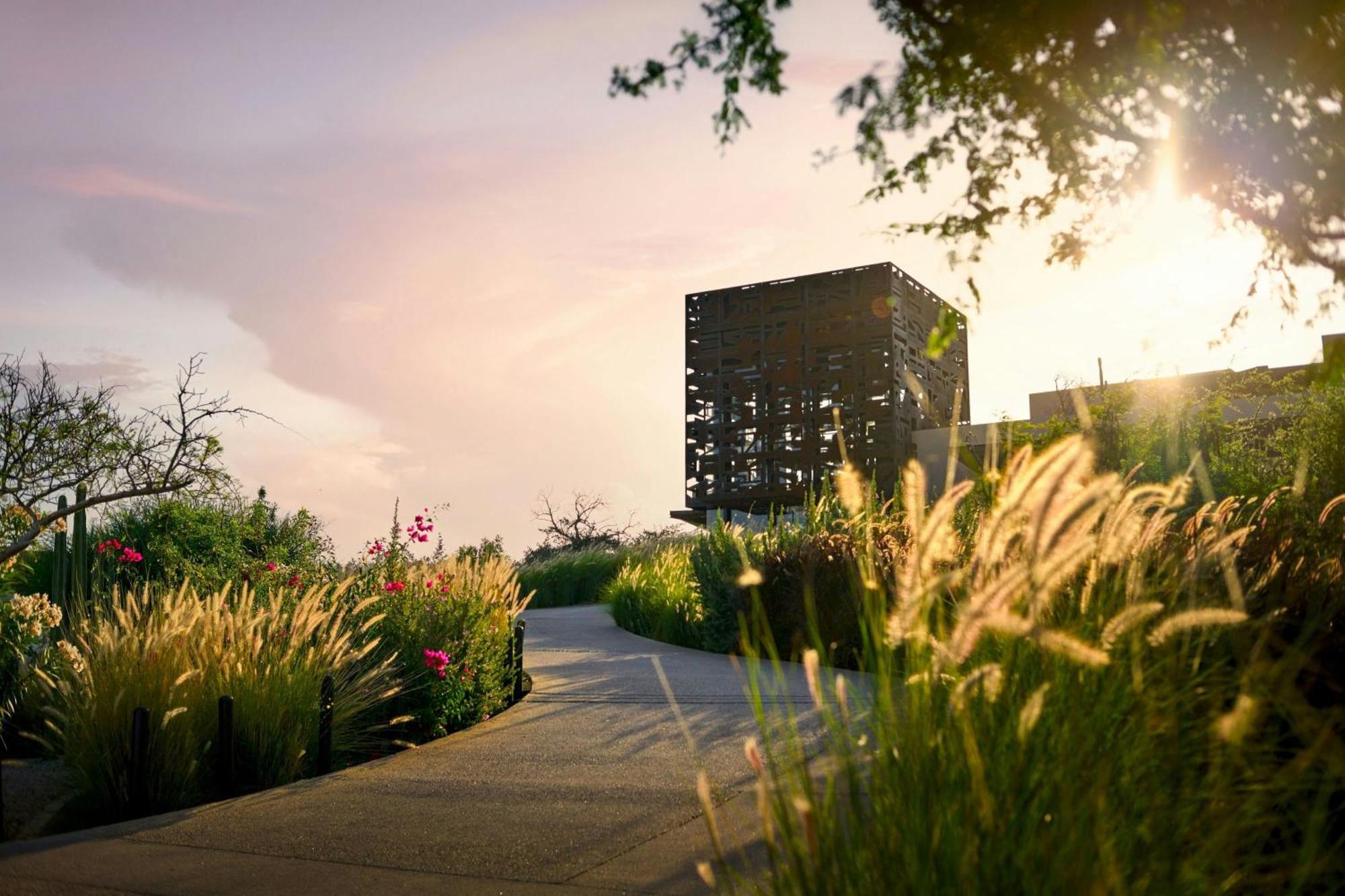 Zadun, A Ritz-Carlton Reserve San José del Cabo Eksteriør billede